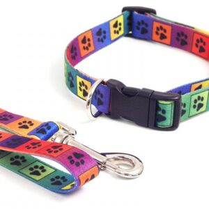 Multi Paw Dog Collar Medium