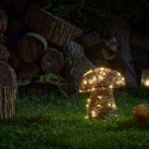 InLit Mushroom