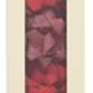 Gift Bow Multipack Red