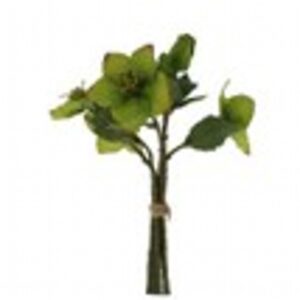 31cm green hellebore tied flower bunch