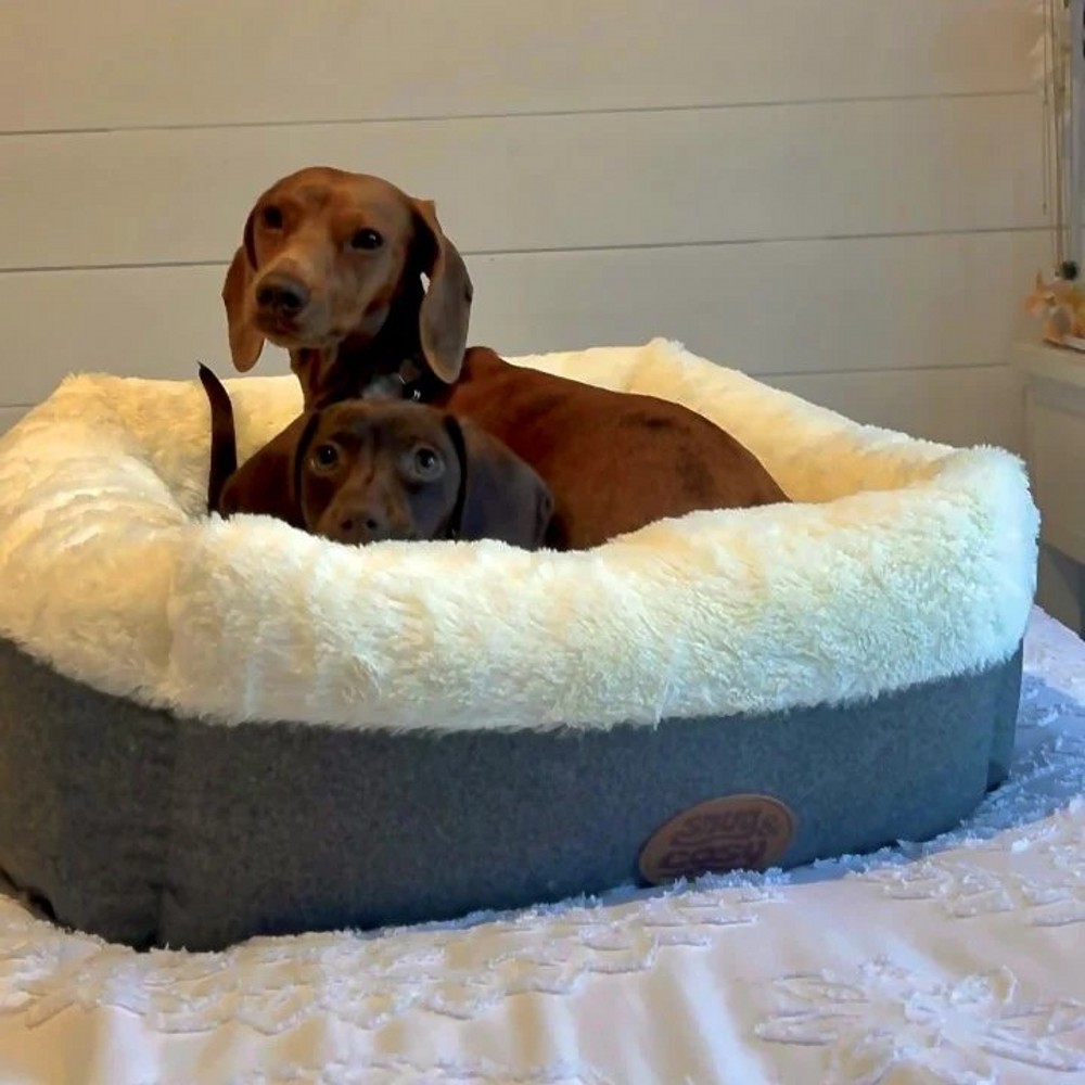 Ivory Box Bed