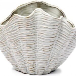 Shell Vase
