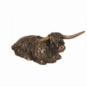 Highland Bull sitting medium