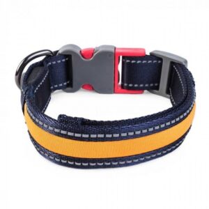 Flash & Go Rechargeable Collar - L