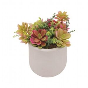Succulent Pot 18Cm
