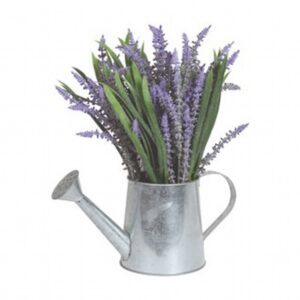 Lavender Watering Can