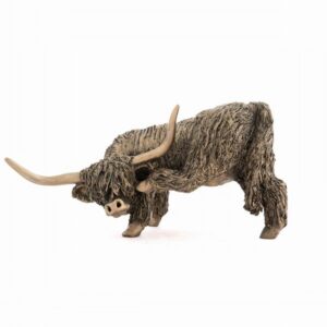 Highland Bull - scratching