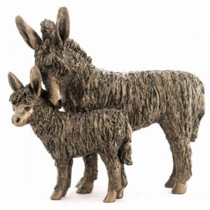 Donkey And Foal Standing