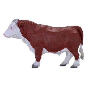 Hereford Bull