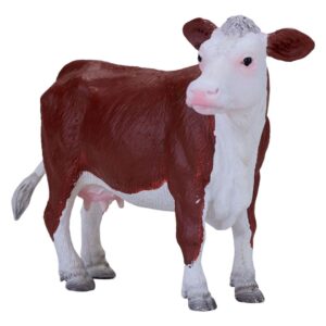 Hereford Cow