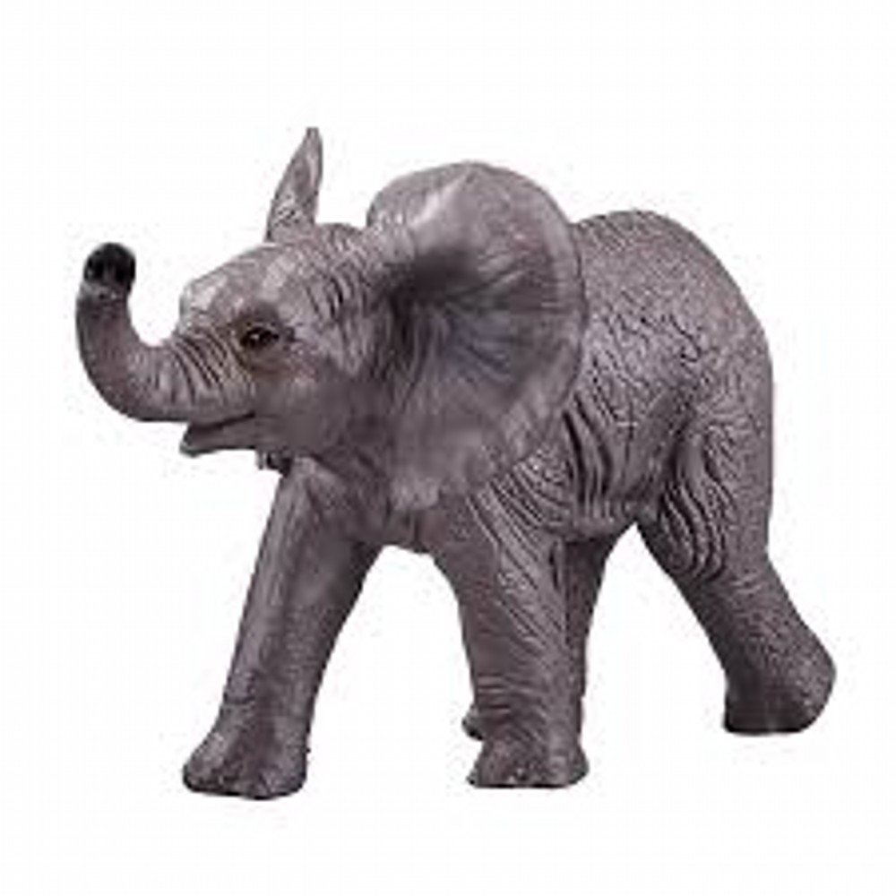 African Elephant Baby