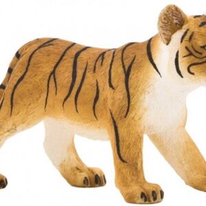 Tiger Cub Standing
