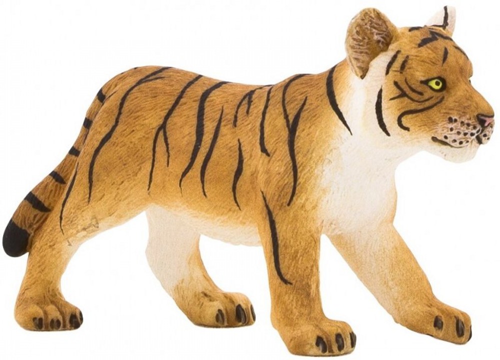 Tiger Cub Standing