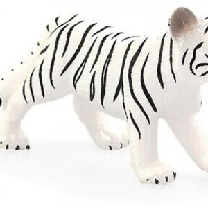 White Tiger cub standing