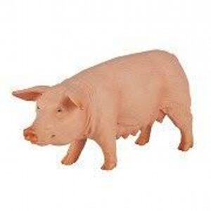 Pig (Sow)