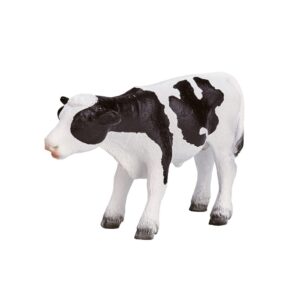 Holstein Calf standing