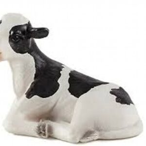 Holstein Calf  lying down