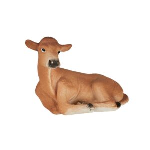 Jersey Calf lying Down