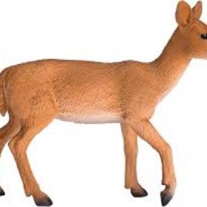 White Tailed Deer Doe