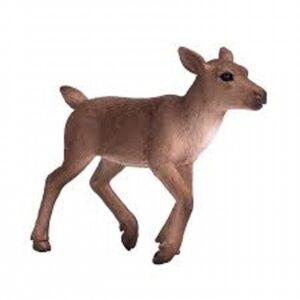 Reindeer Calf New For 2019