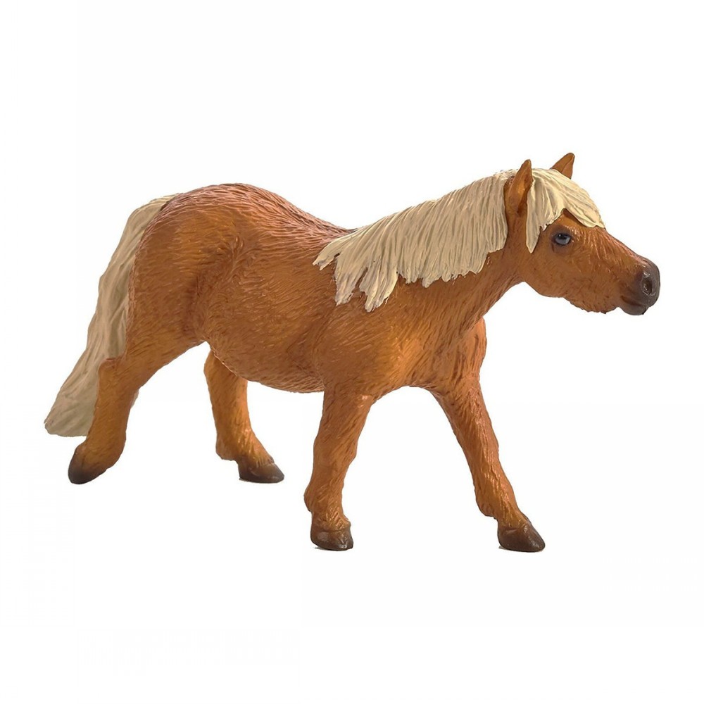 Shetland Pony