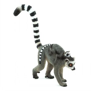 Ringtail Lemur With Baby