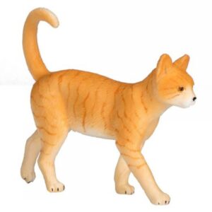 Cat Ginger Tabby