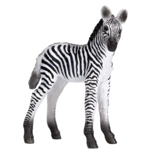 Zebra Foal  Medium