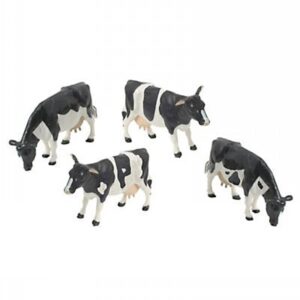 Freesian Cattle