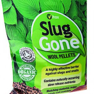 Slug Gone