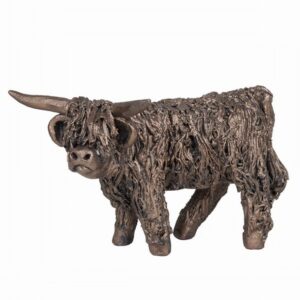 Angus Highland Coo Standing