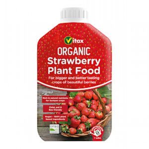 Organic Strawberry Feed