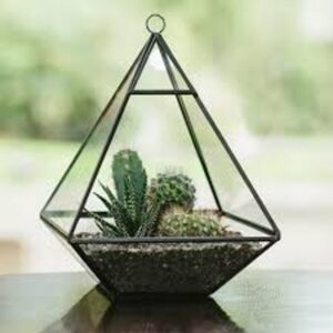Plantpak Glass Pyramid Terrarium