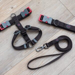 120 X 2Cm Dog Lead/Std Jet