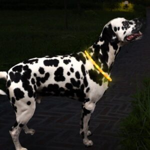 Flash & Go Rechargeable 'See-Dog' Ring - S/M