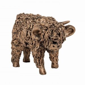 Small Highland Bull Calf