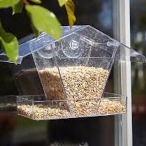 Window Feeder