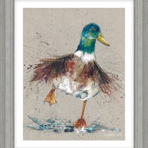 Splish Splash HF - CR116