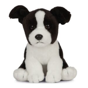LIVING NATURE Border Collie Puppy