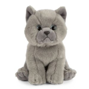 LIVING NATURE British Grey Shorthair Kitten