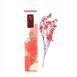 Gypsophilia Flowers - Red
