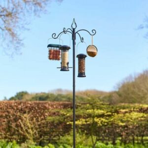 Banquet Bird Feeding Station