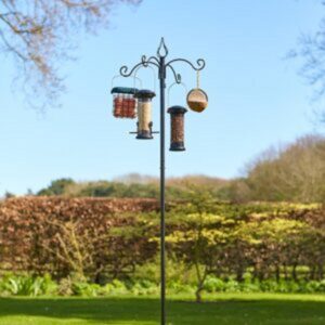 Harvest Bird Feeding Station