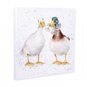 20CM Not a Daisy Goes By Duck