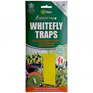 Vitax Whitefly Traps