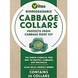 Cabbage Collars (30)