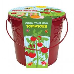 KIDS GROW YOUR OWN STRAWBERRIES