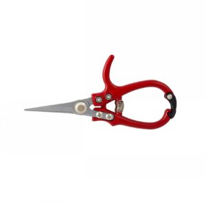 Ergo Snips