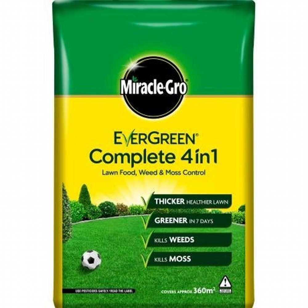 EVERGREEN COMPLETE 80m2 + 25 - Image 2