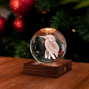Crystal Light 3D Laser Kingfisher